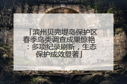 滨州贝壳堤岛保护区春季鸟类调查成果惊艳：多项纪录刷新，生态保护成效显著
