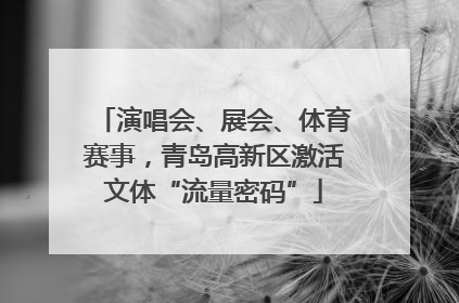演唱会、展会、体育赛事，青岛高新区激活文体“流量密码”