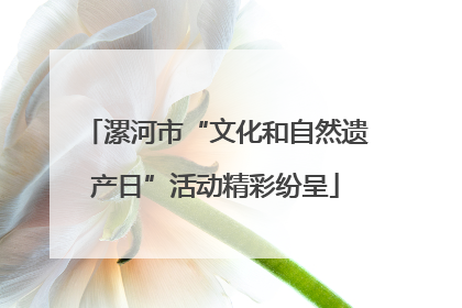 漯河市“文化和自然遗产日”活动精彩纷呈