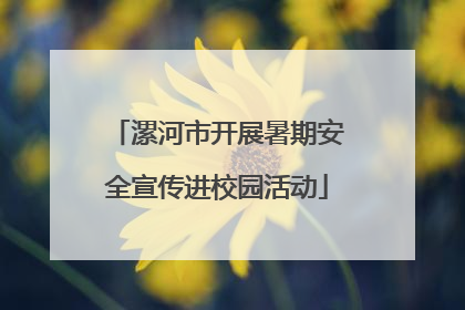 漯河市开展暑期安全宣传进校园活动