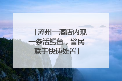 漳州一酒店内现一条活鳄鱼，警民联手快速处置