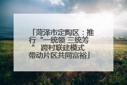 菏泽市定陶区：推行“一统领 三统筹” 跨村联建模式 带动片区共同富裕