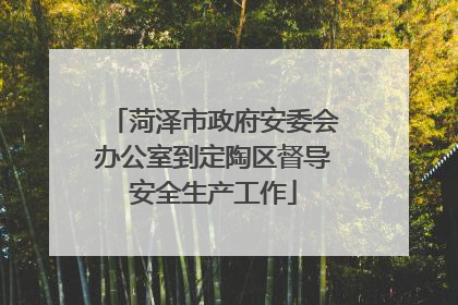 菏泽市政府安委会办公室到定陶区督导安全生产工作