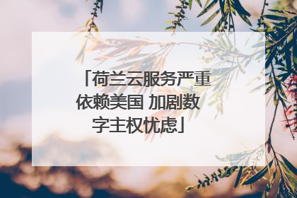 荷兰云服务严重依赖美国 加剧数字主权忧虑