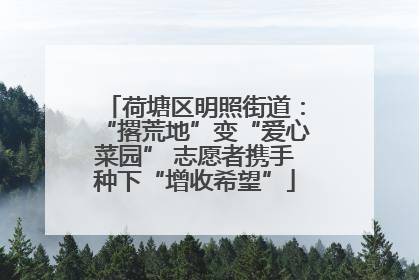 荷塘区明照街道：“撂荒地”变“爱心菜园” 志愿者携手种下“增收希望”