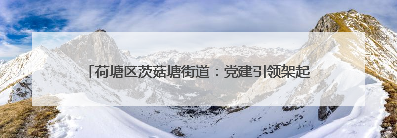 荷塘区茨菇塘街道：党建引领架起连心桥，“双联夜访”织就端午情