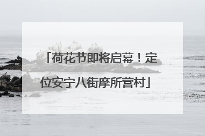 荷花节即将启幕！定位安宁八街摩所营村