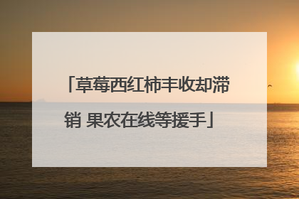 草莓西红柿丰收却滞销 果农在线等援手