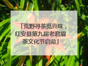 荒野寻茶觅真味，红安县第九届老君眉茶文化节启幕