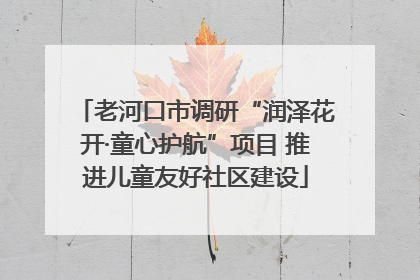 老河口市调研“润泽花开·童心护航”项目 推进儿童友好社区建设