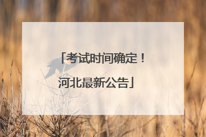 考试时间确定！河北最新公告