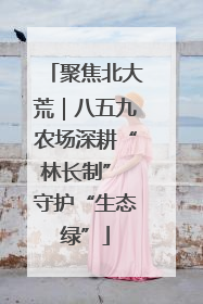 聚焦北大荒｜八五九农场深耕“林长制” 守护“生态绿”