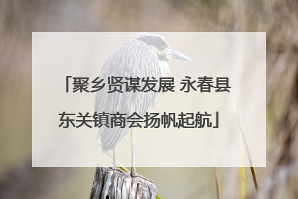 聚乡贤谋发展 永春县东关镇商会扬帆起航