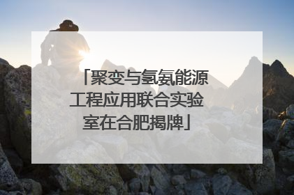 聚变与氢氨能源工程应用联合实验室在合肥揭牌