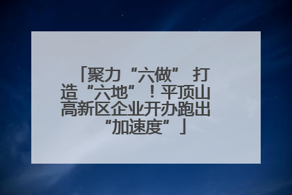 聚力“六做” 打造“六地”！平顶山高新区企业开办跑出“加速度”