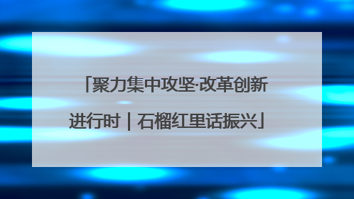聚力集中攻坚·改革创新进行时｜石榴红里话振兴