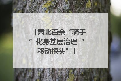 肃北百余“骑手”化身基层治理“移动探头”