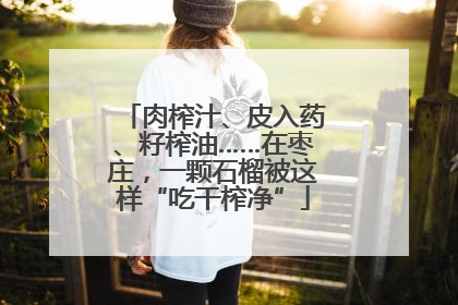 肉榨汁、皮入药、籽榨油……在枣庄，一颗石榴被这样“吃干榨净”