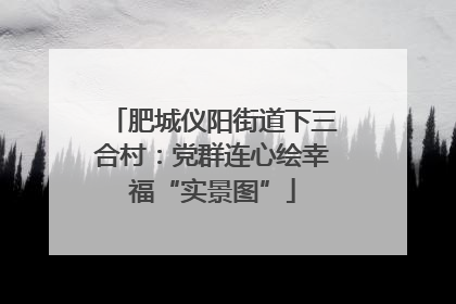 肥城仪阳街道下三合村：党群连心绘幸福“实景图”