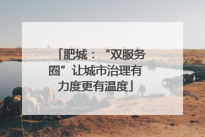 肥城：“双服务圈”让城市治理有力度更有温度