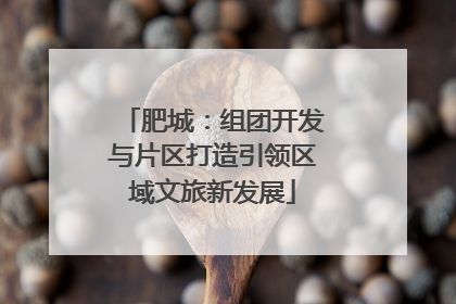肥城：组团开发与片区打造引领区域文旅新发展