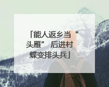 能人返乡当“头雁” 后进村蝶变排头兵