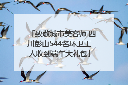 致敬城市美容师 四川彭山544名环卫工人收到端午大礼包