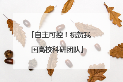 自主可控！祝贺我国高校科研团队