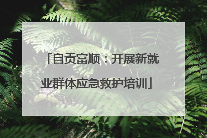 自贡富顺：开展新就业群体应急救护培训