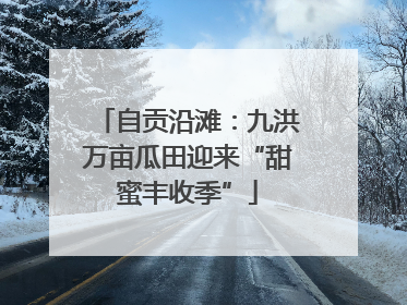 自贡沿滩：九洪万亩瓜田迎来“甜蜜丰收季”