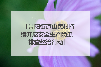 舞阳街道山民村持续开展安全生产隐患排查整治行动