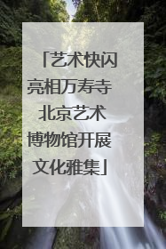 艺术快闪亮相万寿寺 北京艺术博物馆开展文化雅集