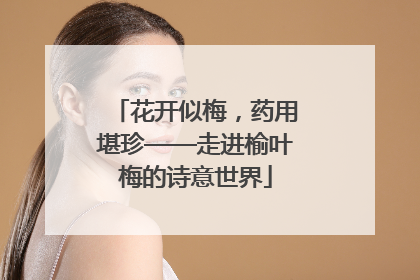 花开似梅，药用堪珍——走进榆叶梅的诗意世界