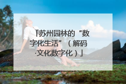苏州园林的“数字化生活”（解码·文化数字化）