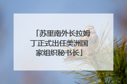 苏里南外长拉姆丁正式出任美洲国家组织秘书长