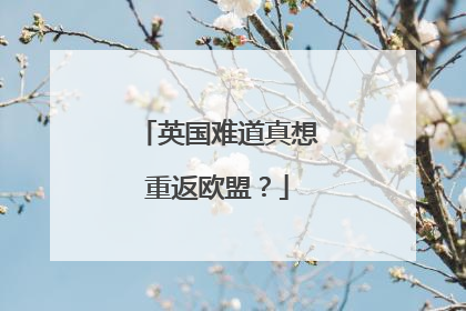 英国难道真想重返欧盟？