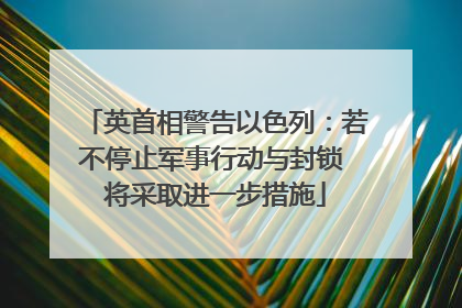 英首相警告以色列：若不停止军事行动与封锁 将采取进一步措施