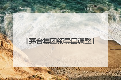 茅台集团领导层调整