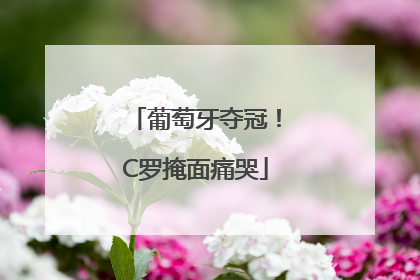 葡萄牙夺冠！C罗掩面痛哭