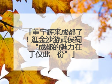 董宇辉来成都了！逛金沙游武侯祠：“成都的魅力在于仅此一份”