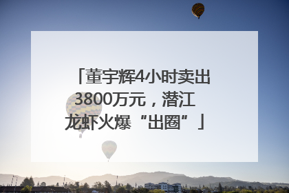董宇辉4小时卖出3800万元，潜江龙虾火爆“出圈”