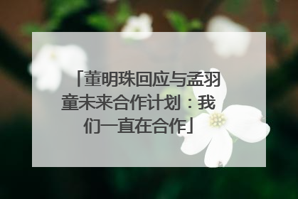 董明珠回应与孟羽童未来合作计划：我们一直在合作