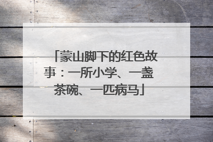 蒙山脚下的红色故事：一所小学、一盏茶碗、一匹病马