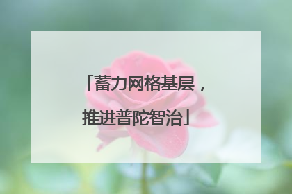 蓄力网格基层，推进普陀智治