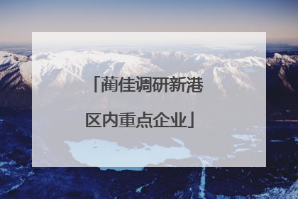 蔺佳调研新港区内重点企业