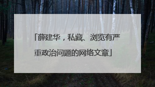薛建华，私藏、浏览有严重政治问题的网络文章