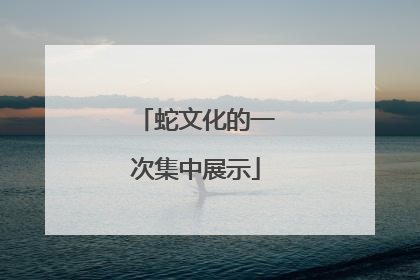 蛇文化的一次集中展示