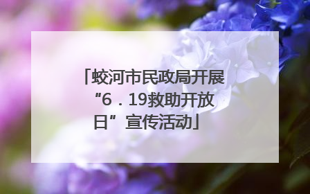 蛟河市民政局开展“6．19救助开放日”宣传活动