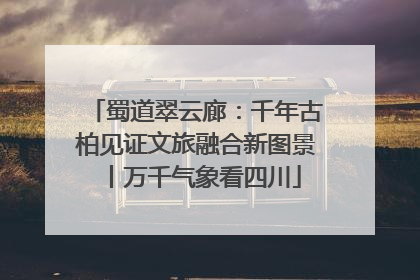 蜀道翠云廊：千年古柏见证文旅融合新图景丨万千气象看四川