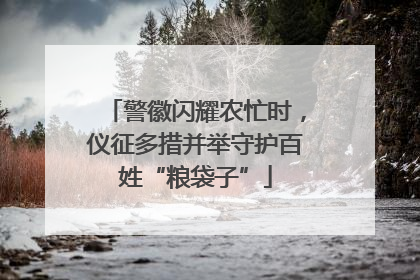 警徽闪耀农忙时，仪征多措并举守护百姓“粮袋子”